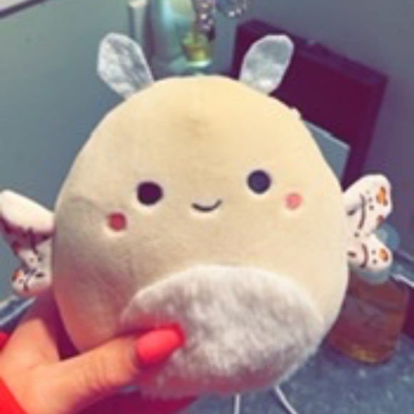 Squishmallow Berit 5” BNWT - Picture 1 of 2